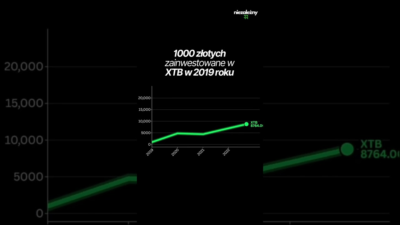 Tak wygląda 1000zł zainwestowane w XTB w 2019 roku