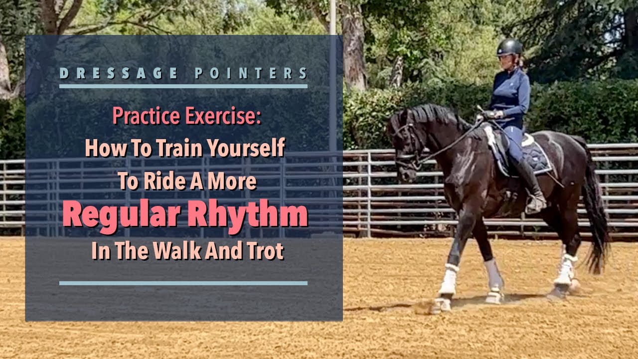 How To Train Yourself To Ride A More Regular Rhythm In The Walk And Trot