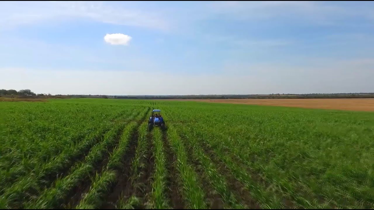 Agromix Industrial // Reel - 2019