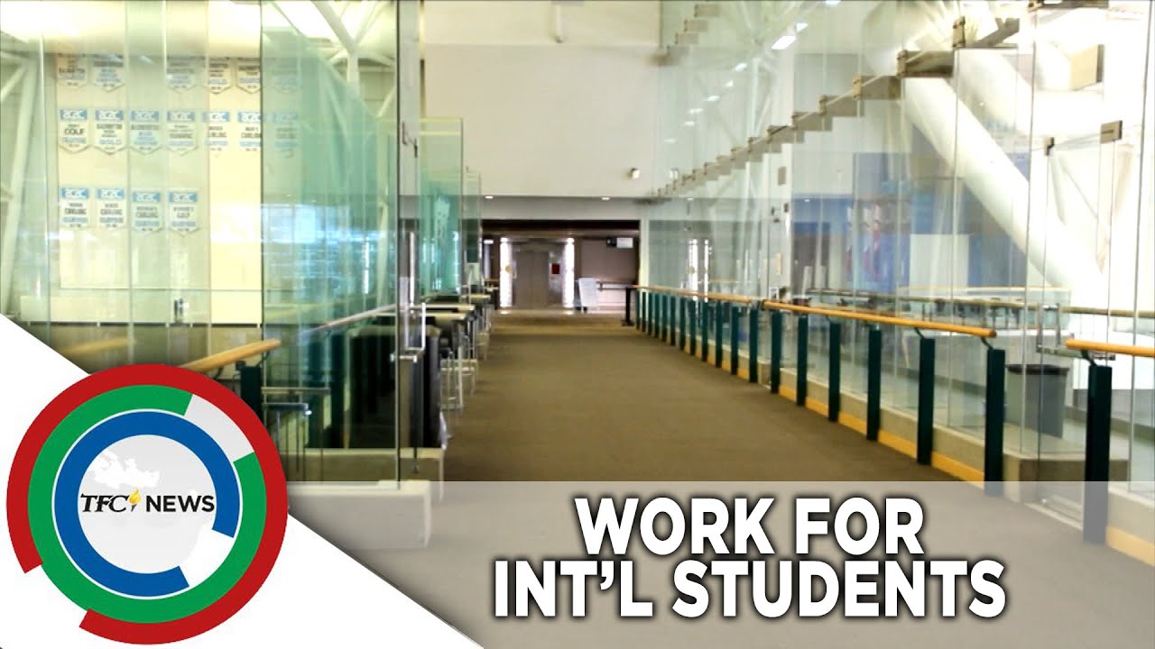 Canada lifts 20-hour work cap for international students | TFC News Alberta, Canada