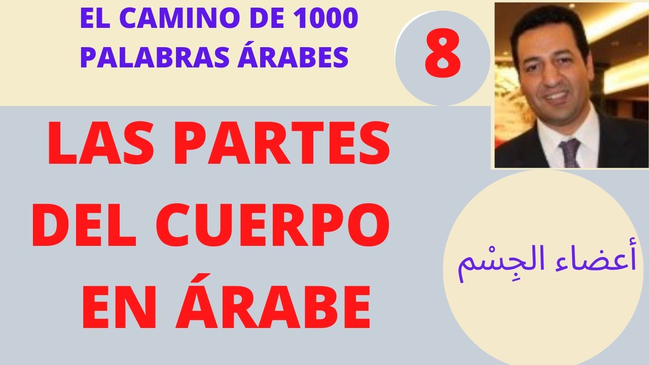 EL CAMINO DE 1000 PALABRAS, APRENDE LAS PARTES DEL CUERPO HUMANO EN ÁRABE