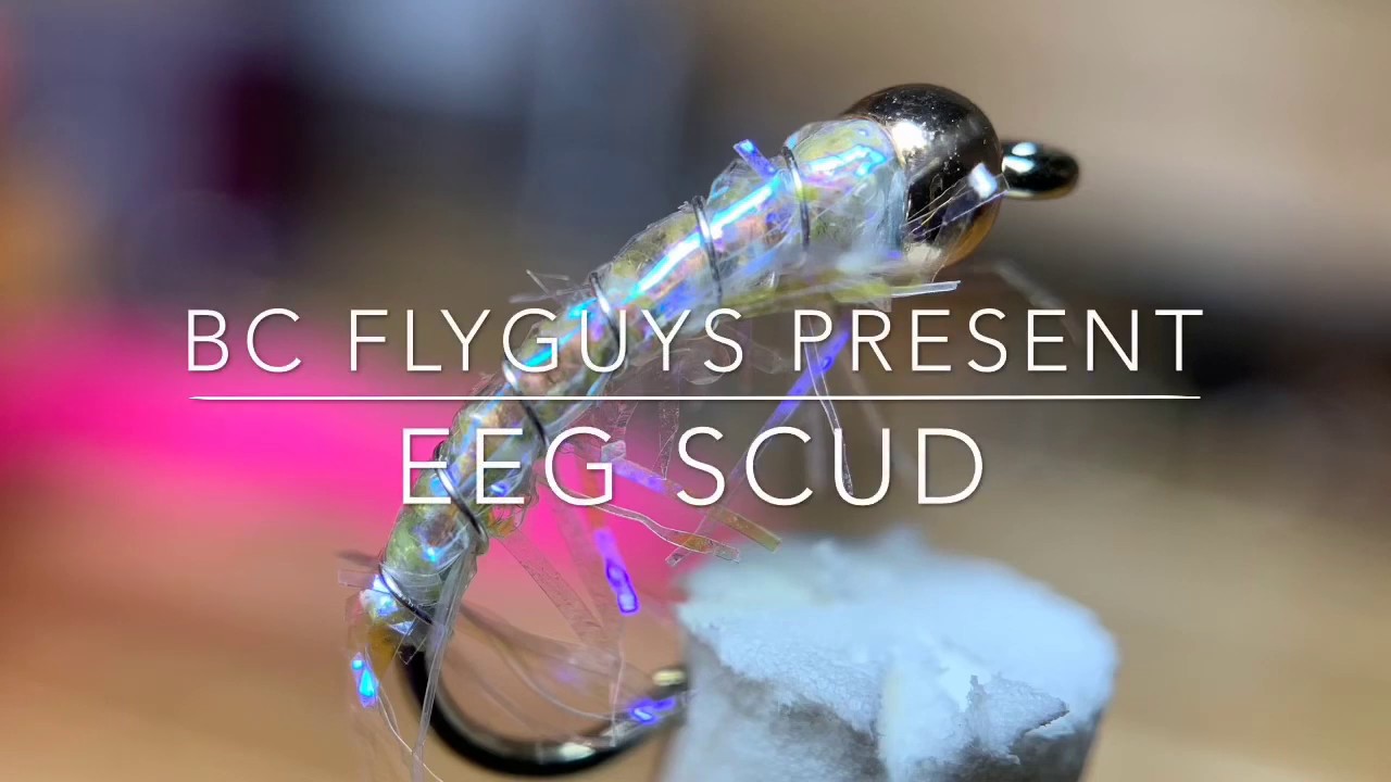 EEG Scud.