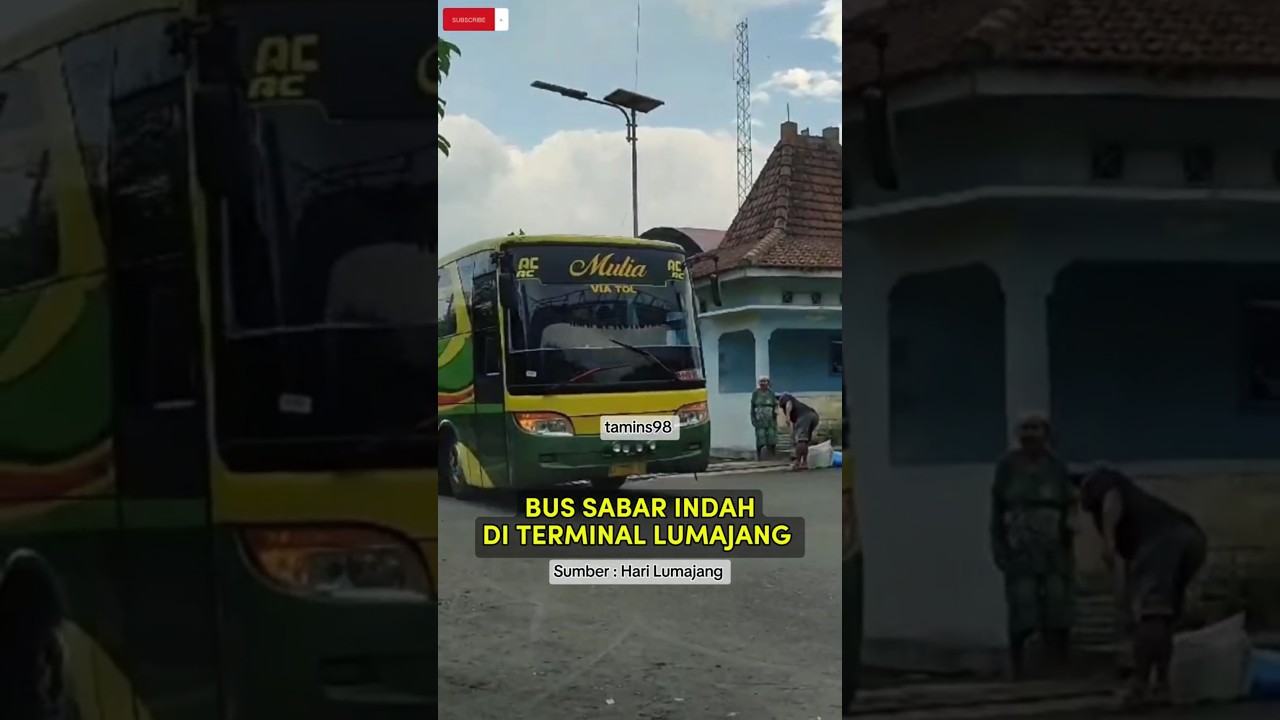 BUS SABAR INDAH DI TERMINAL LUMAJANG  #automobile #busmania #bus #short