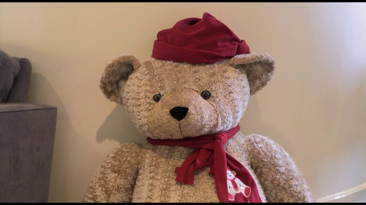 Northern Children's Hospice Overview