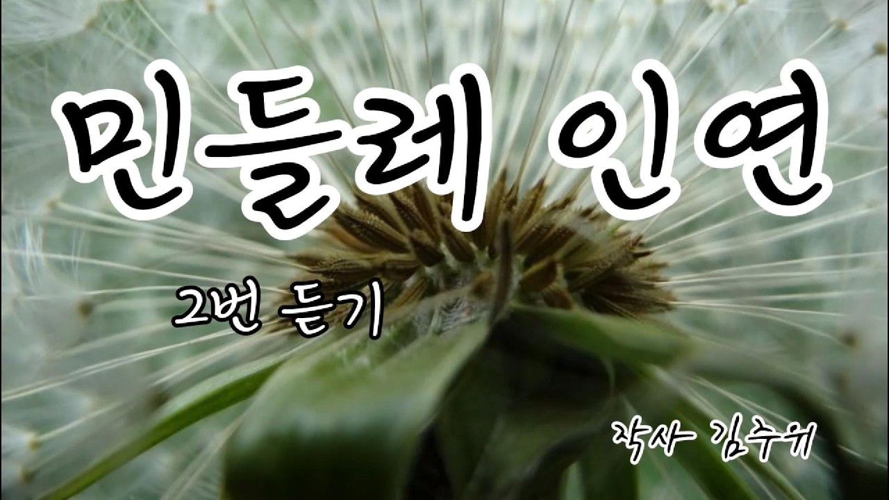 곡명: 민들레 인연 (트로트)  