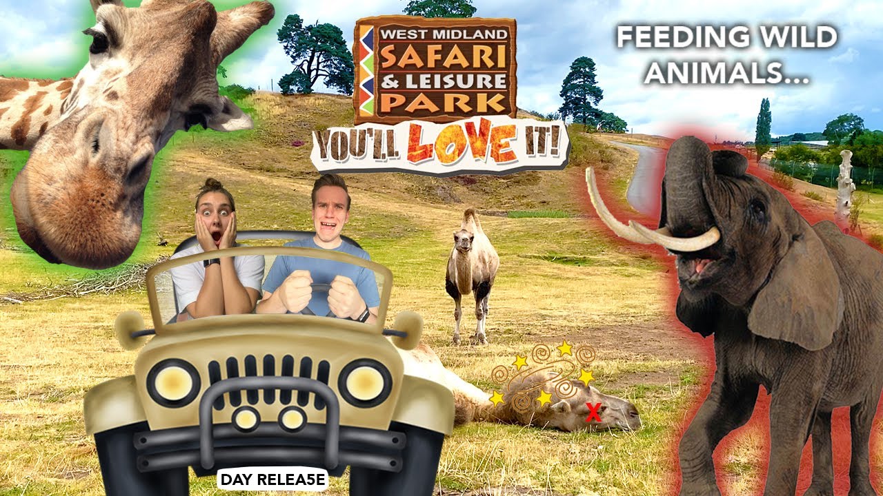 Day Release - It's Ash's Birthday! So we went and swore at loads of animals