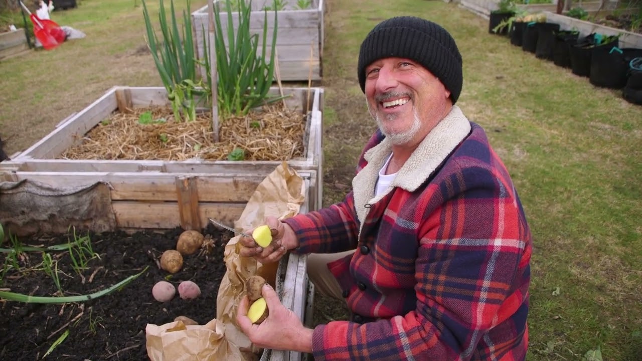 Planting Potatoes