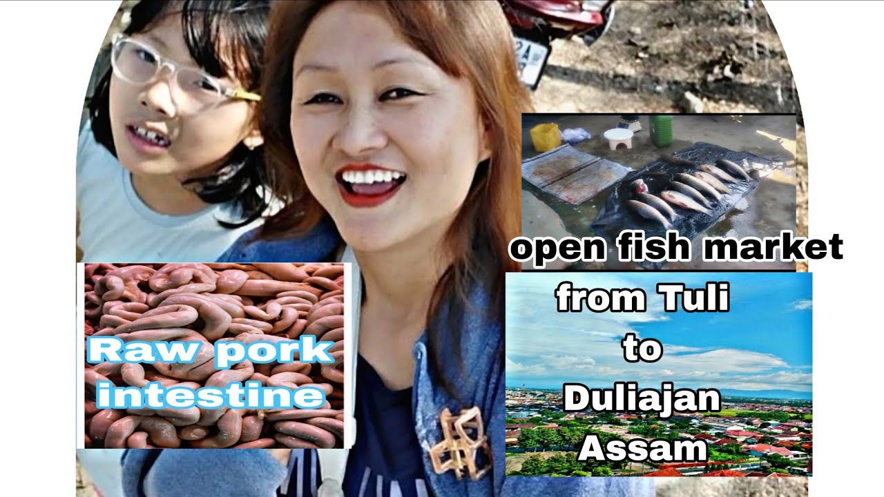 Discover the Path from Tuli to Duliajan