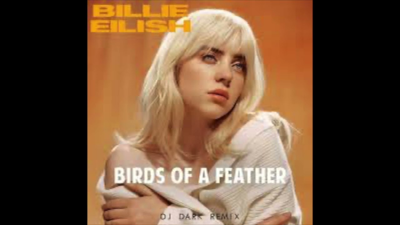 Birds of a feather Bobby Do mix