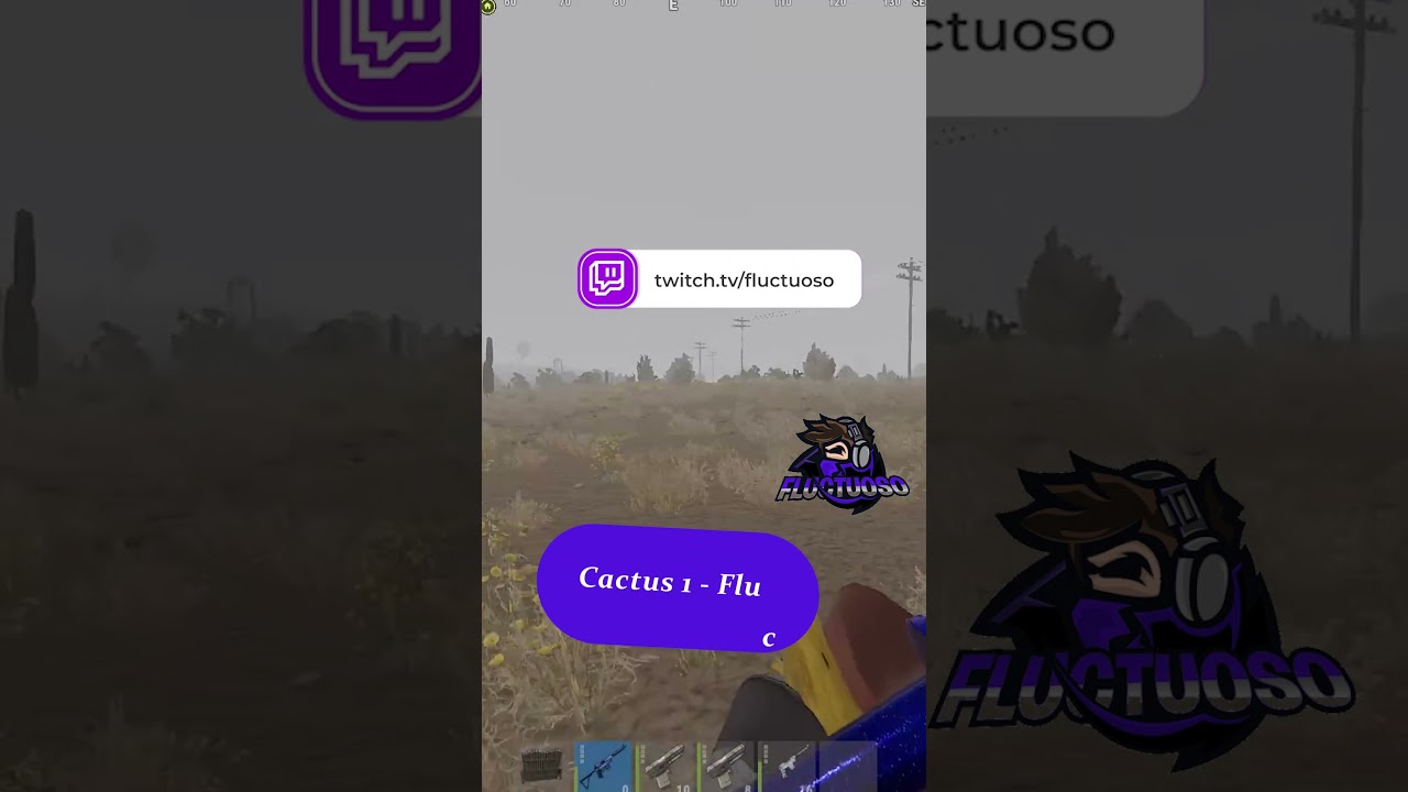 cactus 1 - flucto 0  