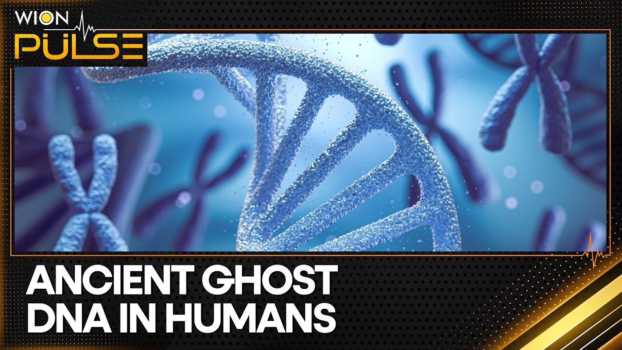 New Computational Method 'Trace' Finds Ancient DNA Without Fossils | WION Pulse