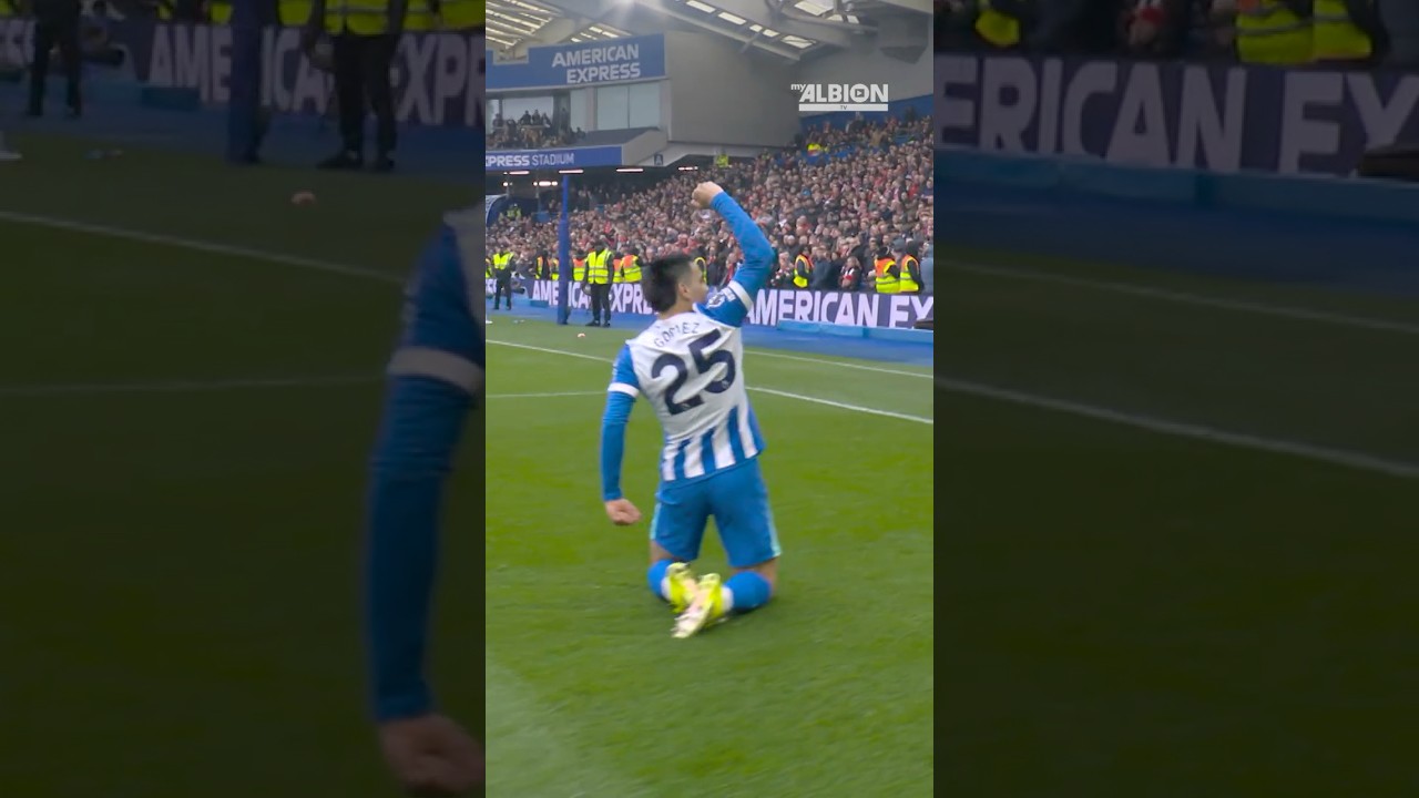 'He Doesn't Score Tap Ins' - Another Sensational Gomez Goal #diegogomez #brightonandhovealbion