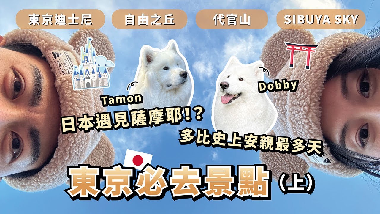 『2023東京必去景點(上)』日本遇見薩摩耶!?多比史上安親最多天 (薩摩耶多比Dobby is free)