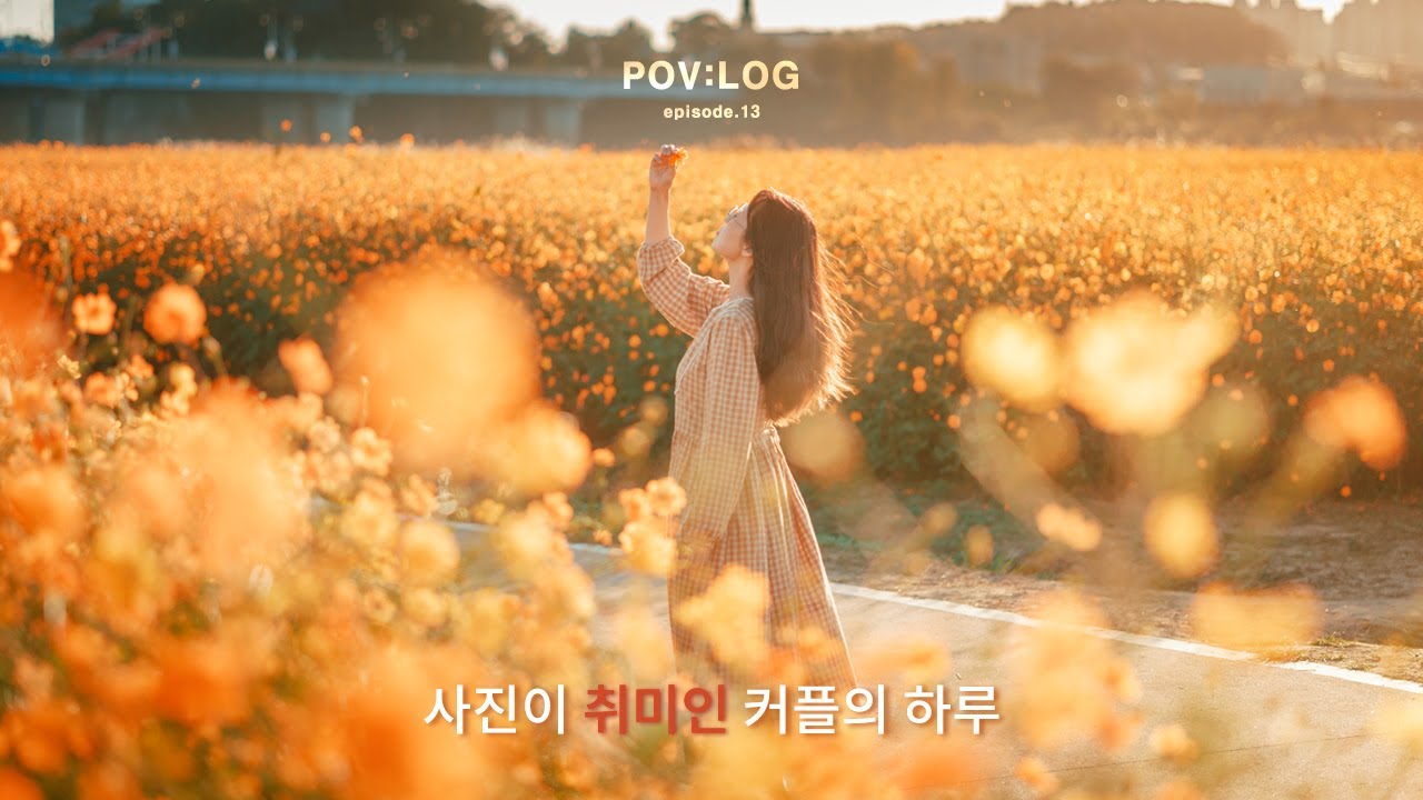 하루 종일 코스모스 사진! 📷️ l  POV:LOG  l  #canonr8 #rf85mmf2 #canon50mmf1.8