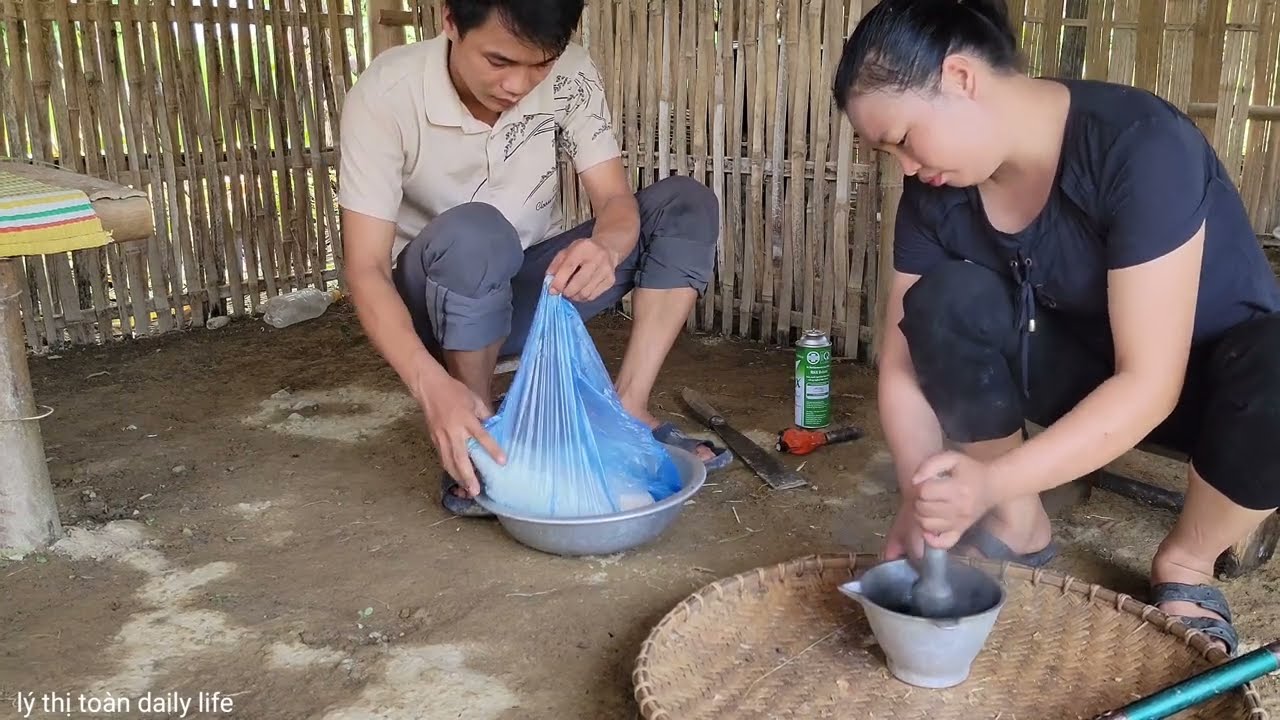 full video encountering a school of giant carp & lý thị toàn daily life