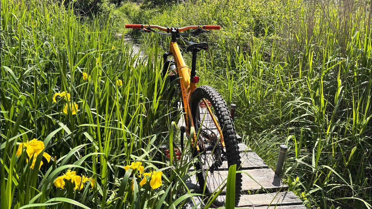 MTB RIDE 藪漕ぎの六甲・有馬