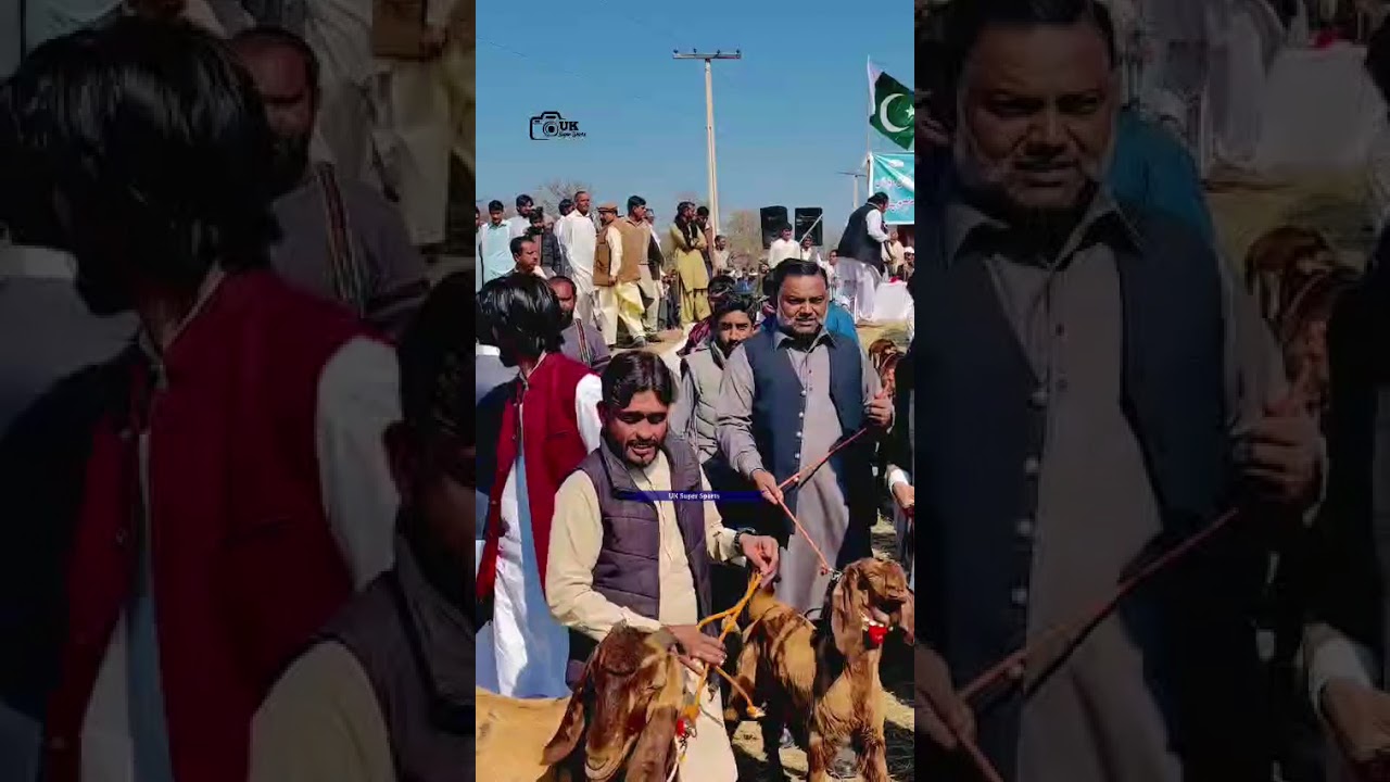 #viral video# پوٹھوہار نی آواز سعید مدنی #Uk super Sport #سبسکرائب اینڈ لائک شئر 