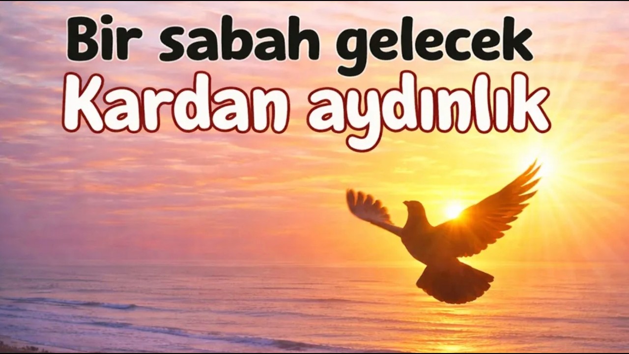 BİR SABAH GELECEK KARDANAYDINLIK ABONE   https://www.youtube.com/watch?..v=2A_QOxgy1OA asirajans.com