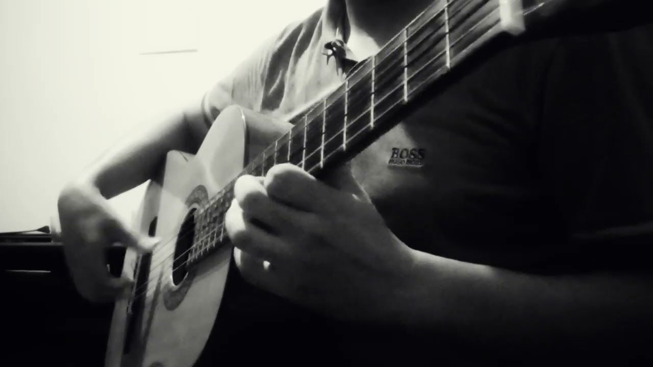 Estas Tonne Birds teardrops full cover