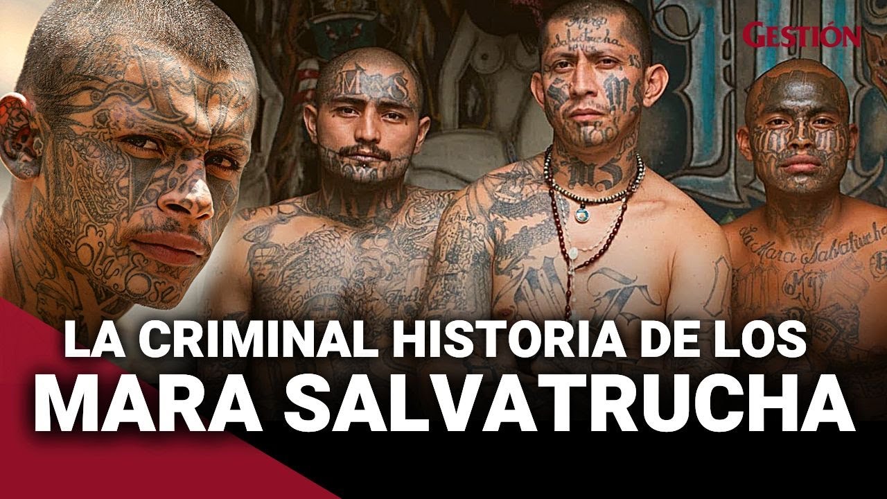El ORIGEN y ASCENSO de la MARA SALVATRUCHA hasta la guerra y TRIUNFO de NAYIB BUKELE