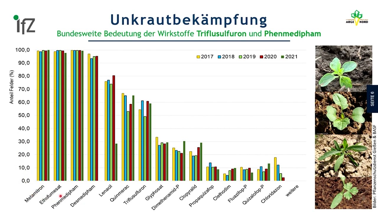 VA 1 Unkräuter Schadinsekten