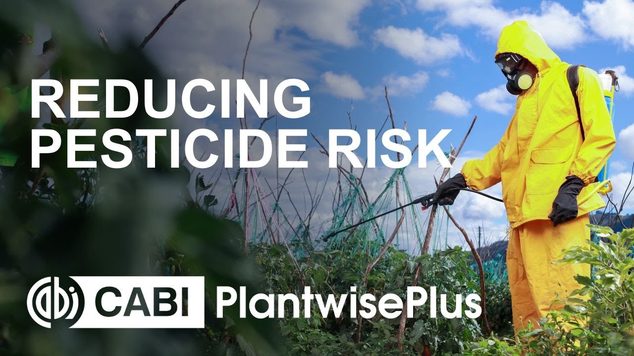 CABI Academy: Reducing Pesticide Risk