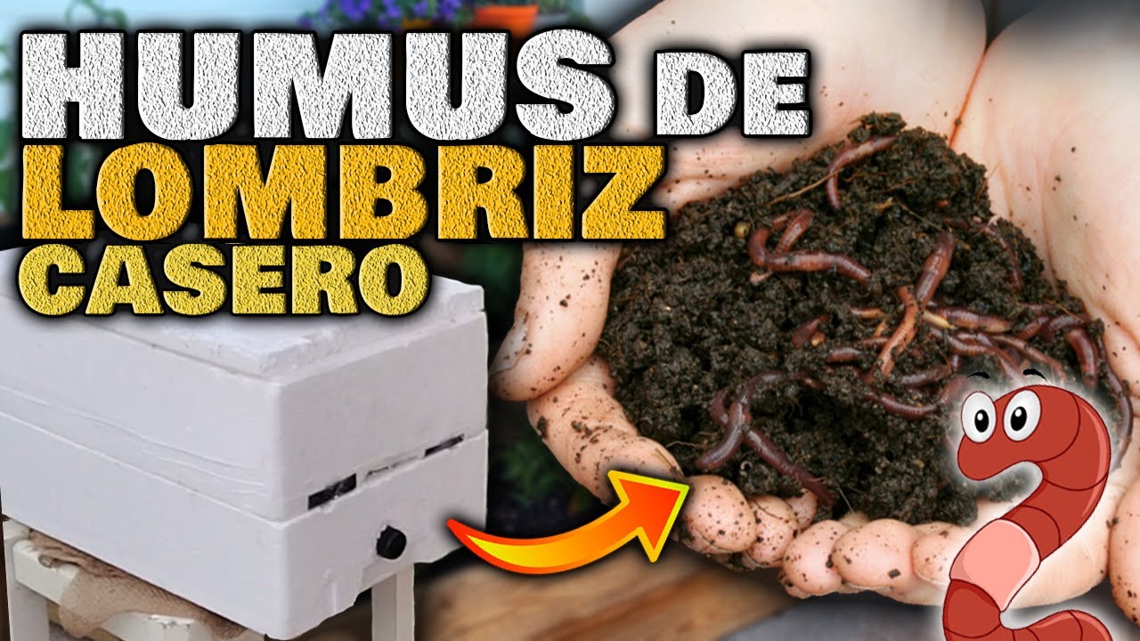 Cómo Hacer HUMUS de LOMBRIZ CASERO RÁPIDO | Abono Orgánico Natural | Vermicompostera Casera FÁCIL