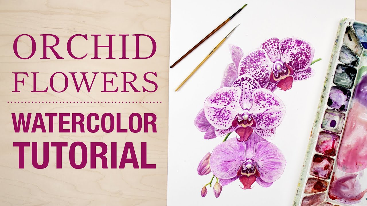 How to Paint Orchid Flowers // Botanical Watercolor Tutorial