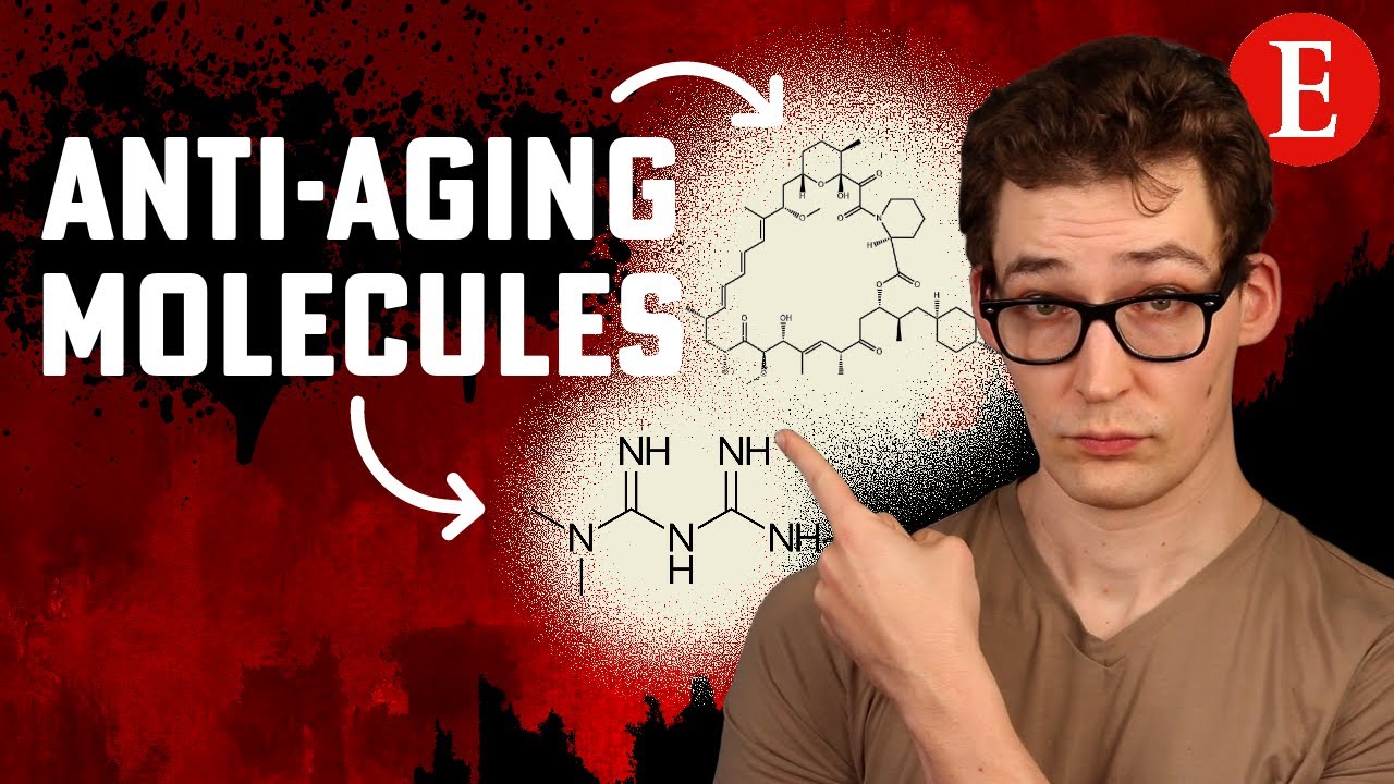 The Promise of Two Anti-Aging Molecules [10 Studies]