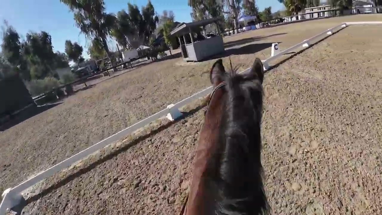 WIP...Dressage Eventing Galway Downs Jan 2026 Beg Nov Test A 2026