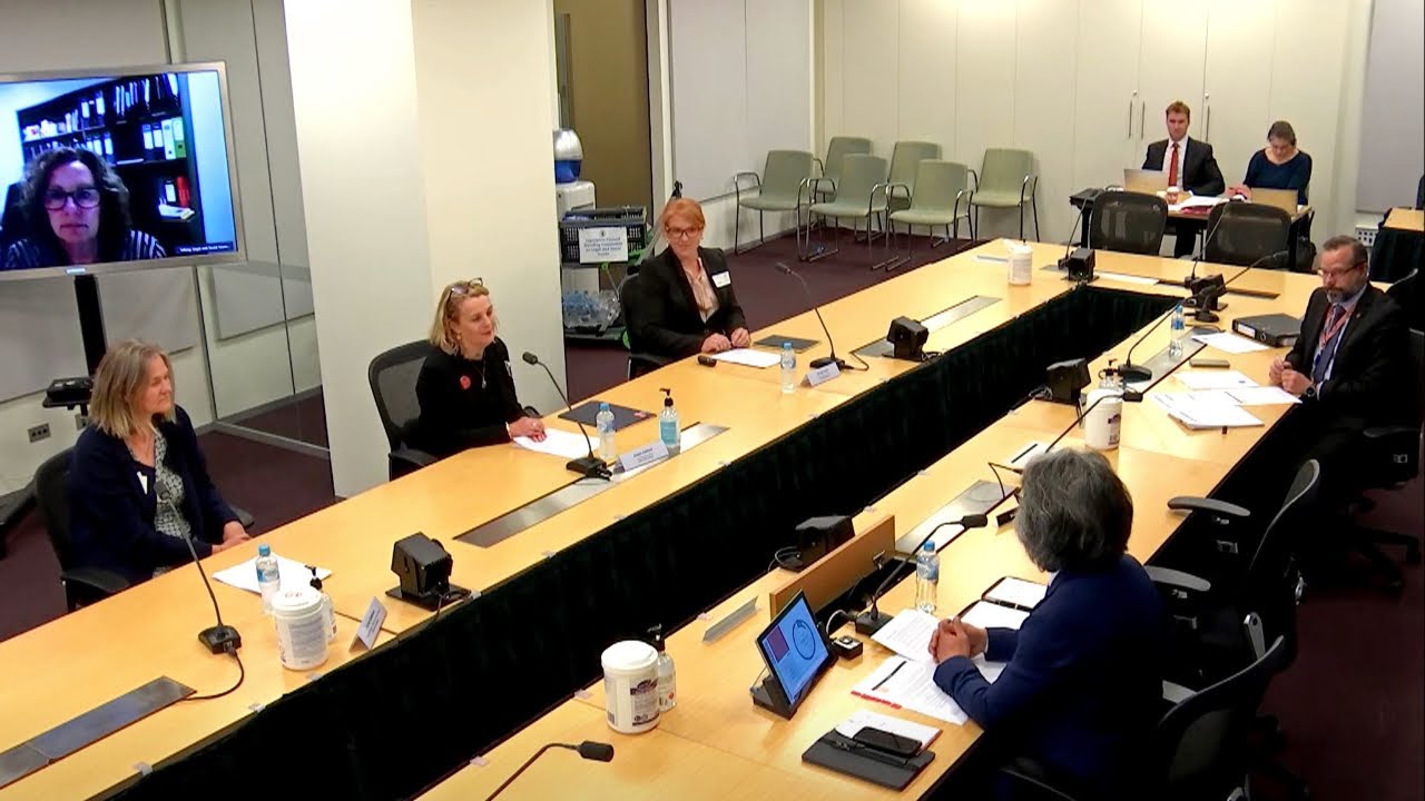 Hearings on sex offender information - Snapshot 5