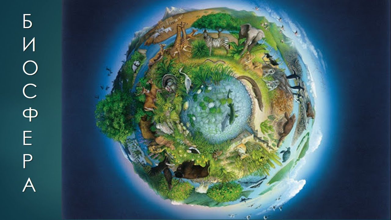 Biosfera