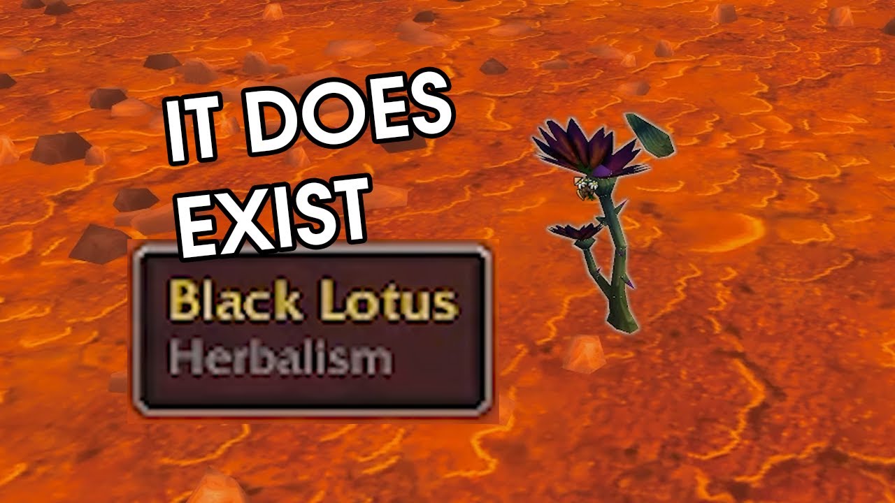 I tried farming the rarest herb in WoW
