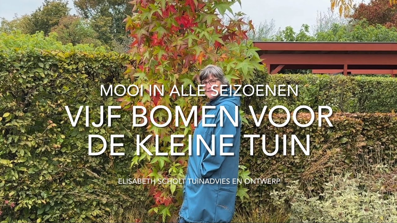VIJF BOMEN VOOR DE KLEINE TUIN