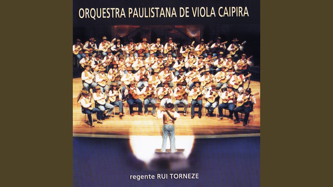 Pout-Pourri de Introduções de Pagode de Viola II: Nove e Nove / Navalha na Carne / Com Deus na...