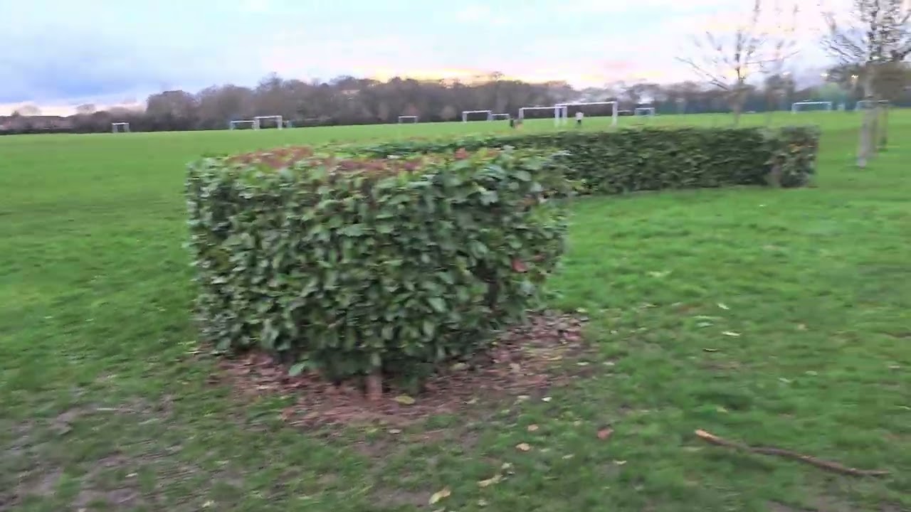 Melbourne Park, Chelmsford (Short Walk)