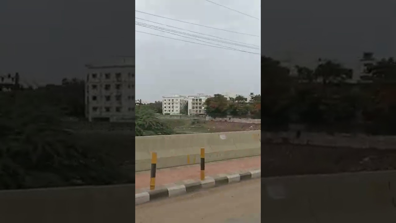 Adyar river 👀