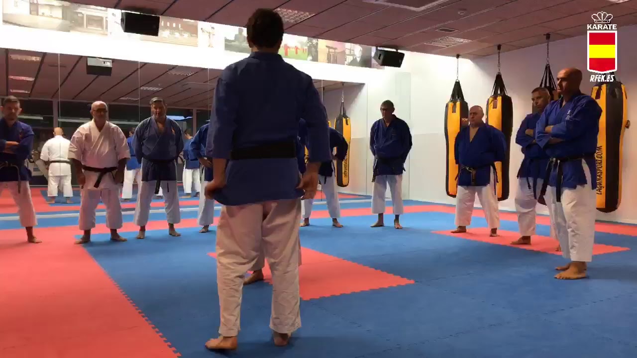 Curso Goshin Autodefensa Madrid 2018