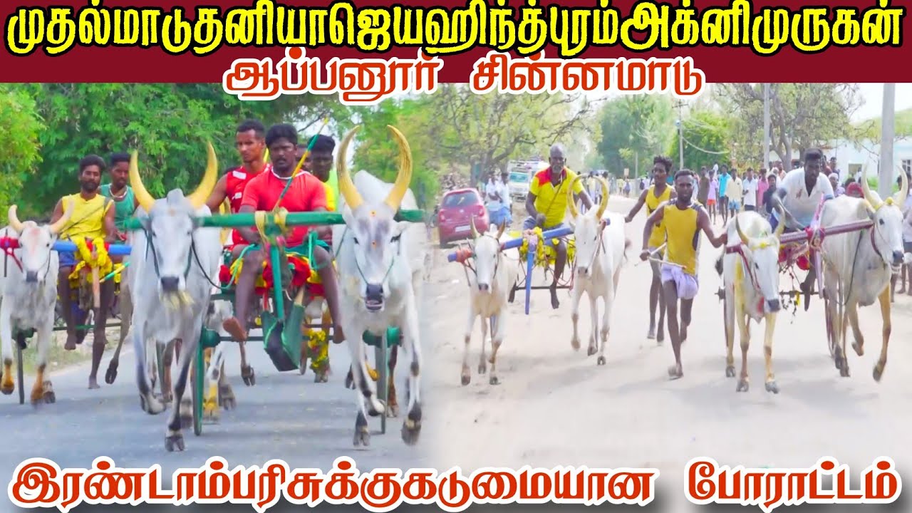 ஆப்பனூர் சின்னமாடு இரண்டாம் சுற்று பந்தயம்