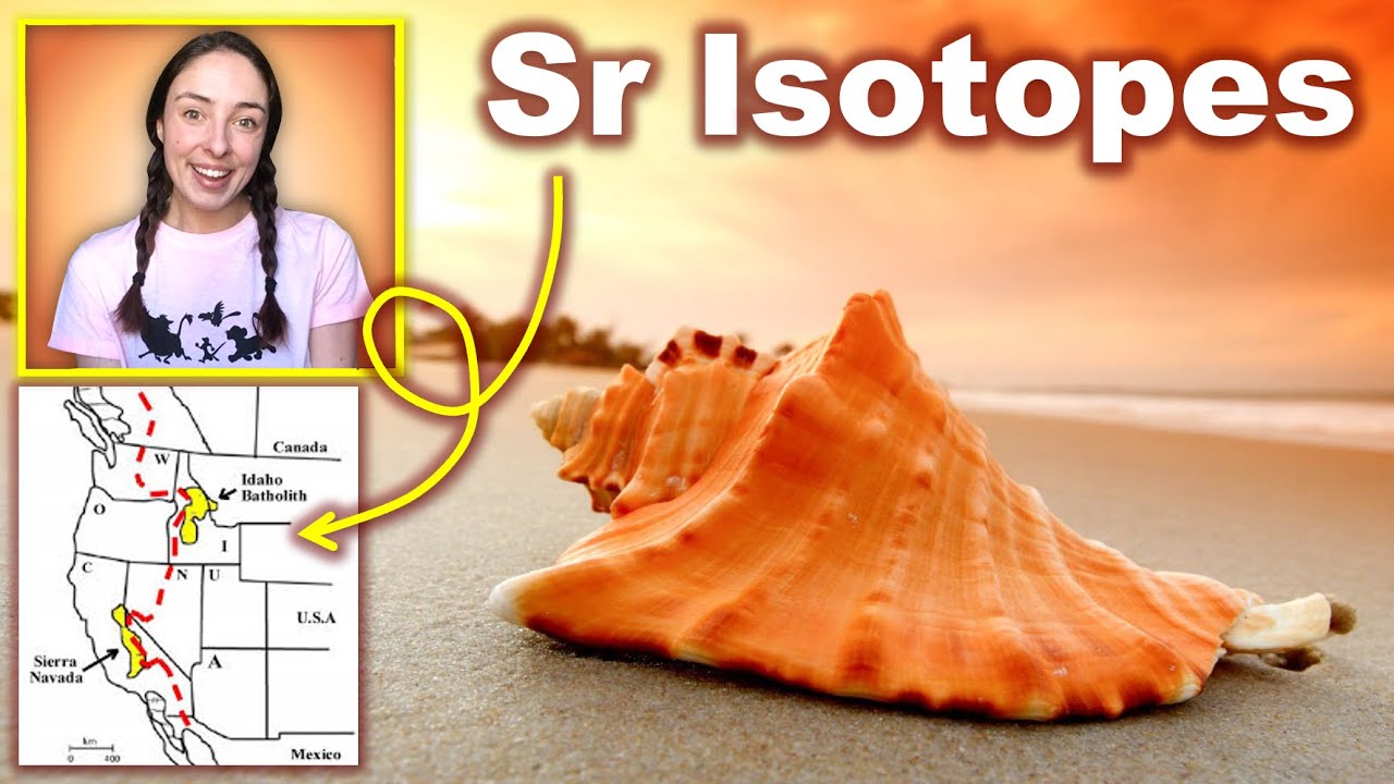Элементное и изотопное поведение стронция (Sr) и его прокси-факторы | GEO GIRL
