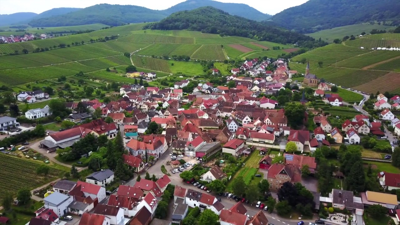 100x360 [010] Birkweiler Wingert Weinfr&uuml;hling Weingut Siener