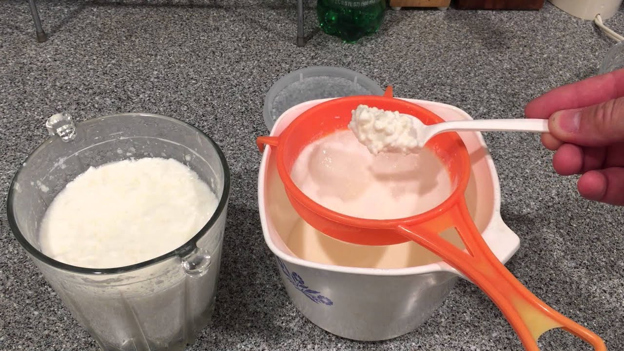 This is how I keep my kefir alive!