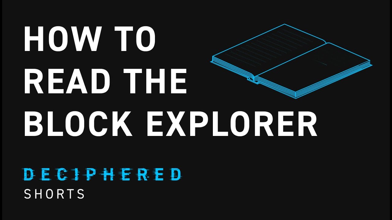 How to Read the Block Explorer