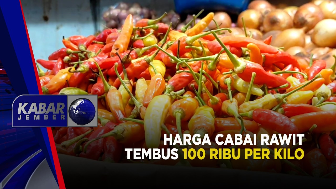 Harga Cabai Rawit Tembus 100 Ribu Per Kilo | KABAR JEMBER