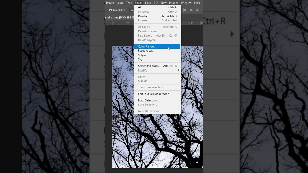 SELECTING OBJECTS WITH COLOR RANGE | USING PHOTOSHOP