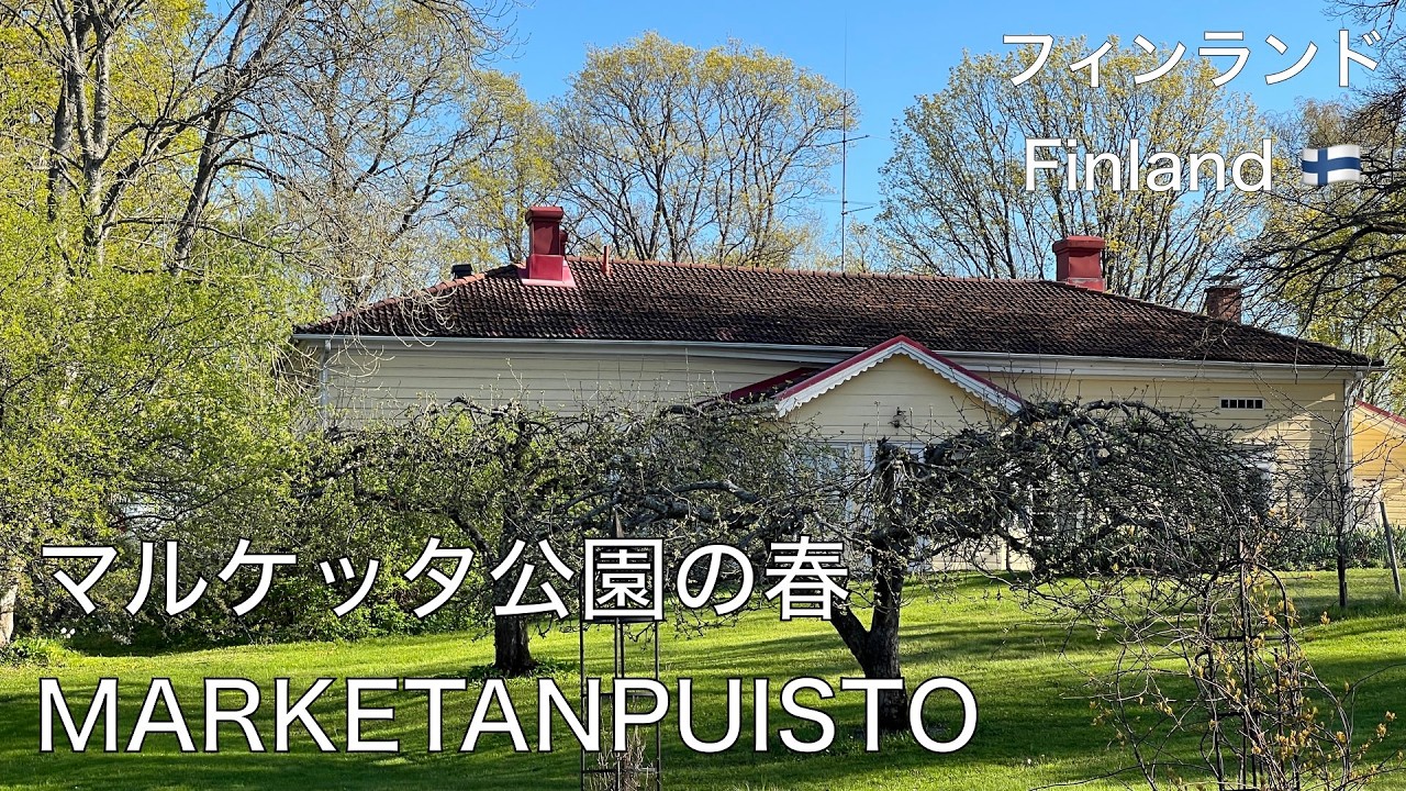園内の木々の若葉が美しいマルケッタ公園(フィンランドのエスポー市)とカナダガンなどの渡り鳥が戻ってきたマタラ湖の景色をお楽しみ下さい。Marketanpuisto keväällä 16.5.2025