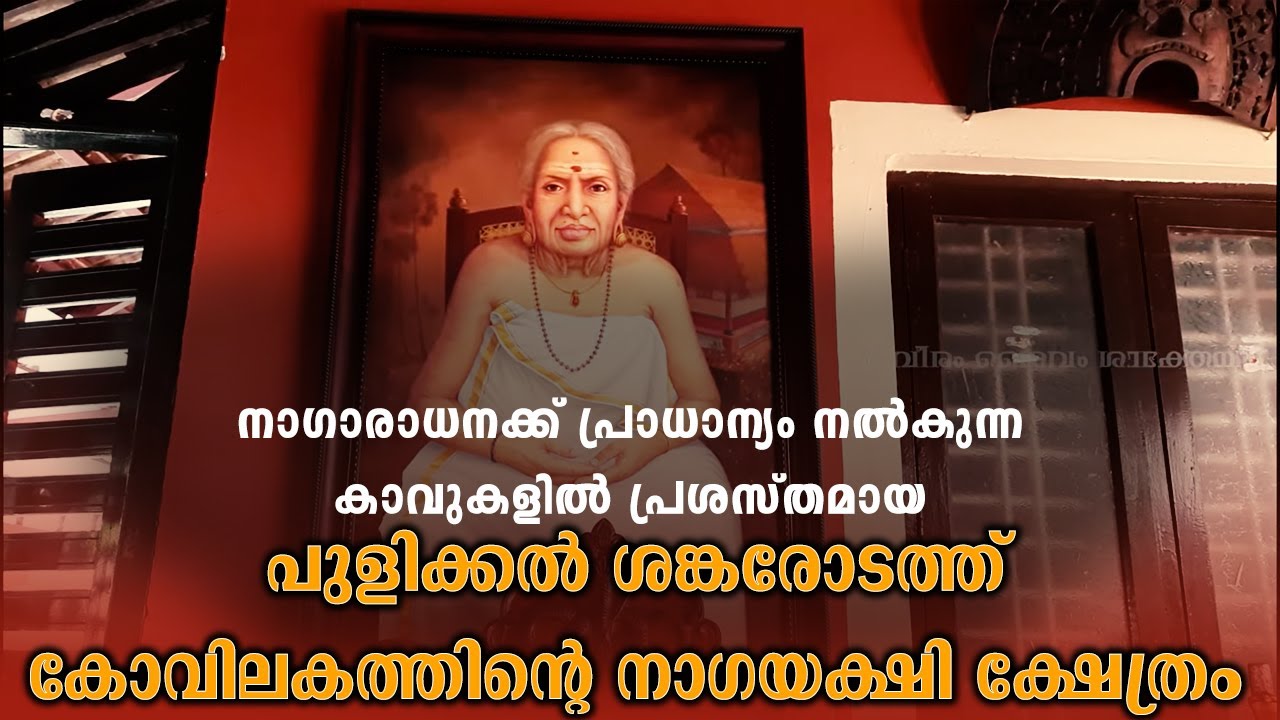 കാവുകൾ - 7 | പുളിക്കൽ ശങ്കരോടത്ത് കോവിലകത്തിൻ്റെ നാഗയക്ഷി ക്ഷേത്രം