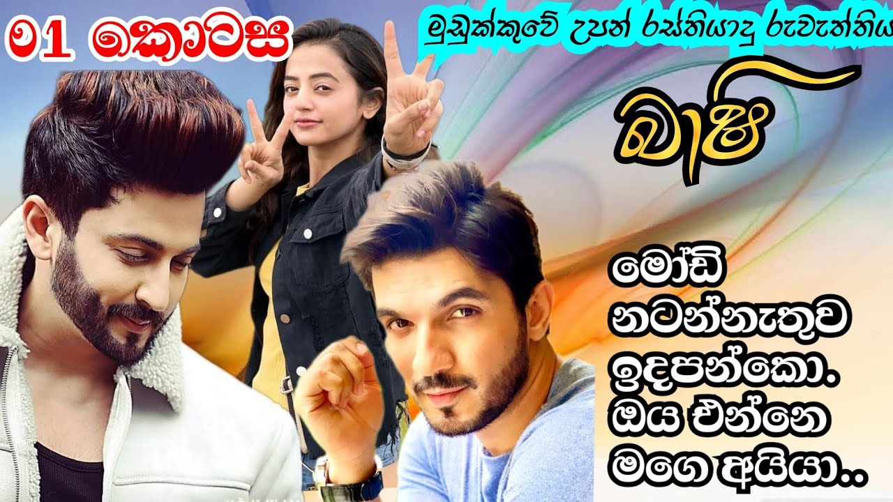 බාෂි | 01 කොටස | ඔය එන්නෙ මගෙ අයියා |Sinhala nawa katha | Anudi & Dinesh Novels
