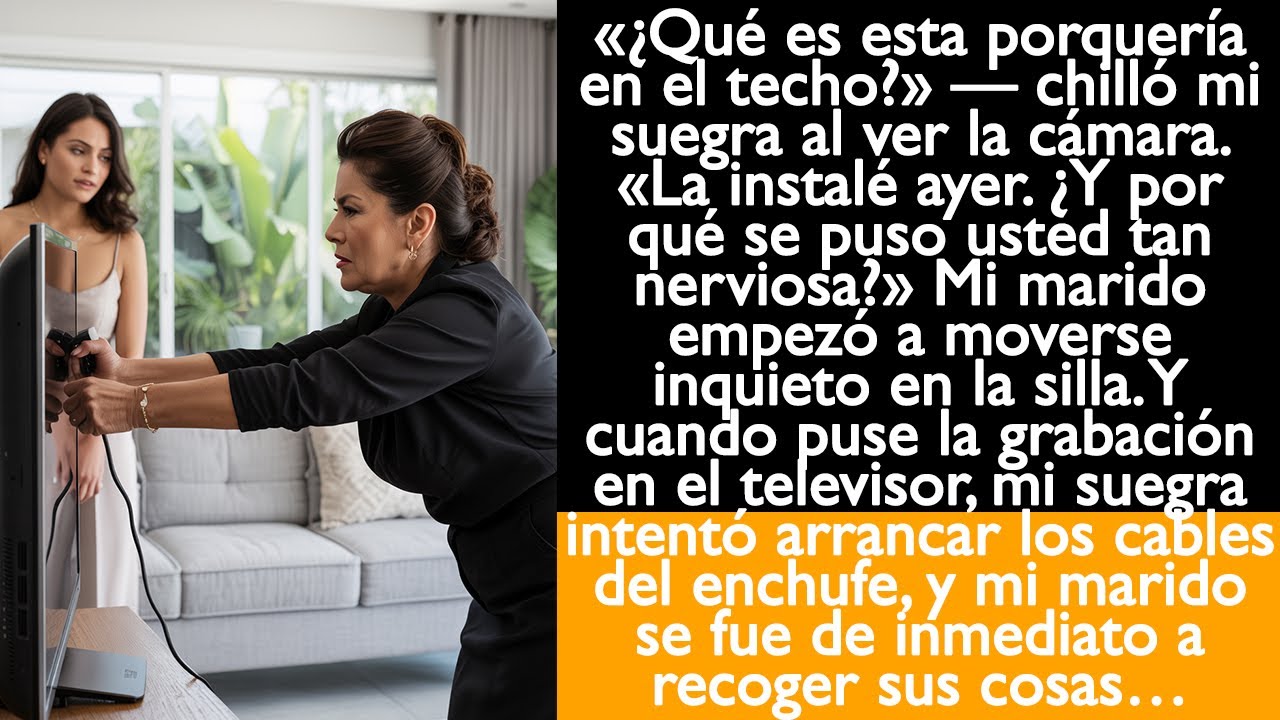 Cuando puse la grabación de la cámara en el televisor, mi suegra intentó arrancar los cables...