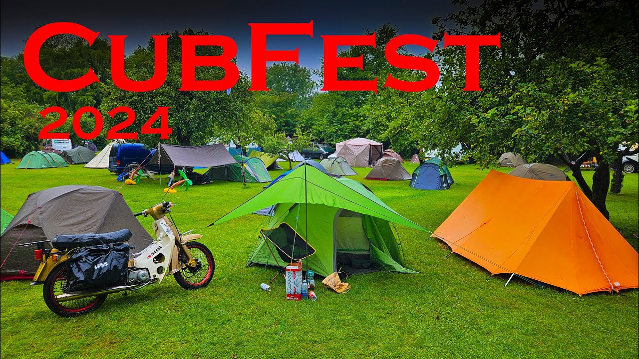CubFest 2024